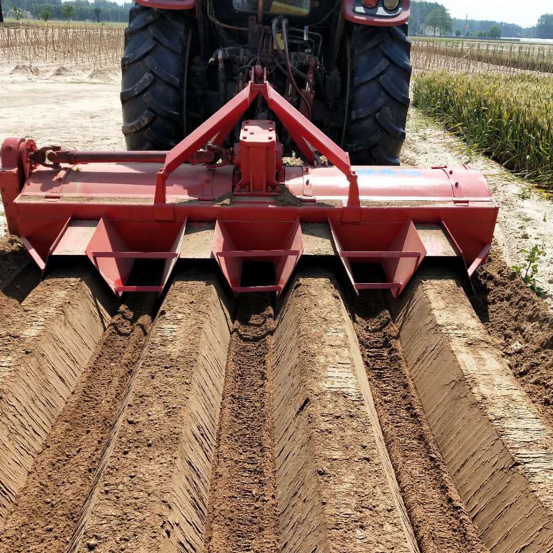 <a href=http://www.guonongzulin.com/ target='_blank'>開溝機</a>